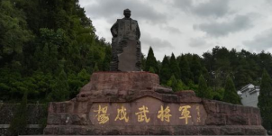 杨成武.png